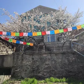 8 дней в Армении, активный йога тур (Армения)
