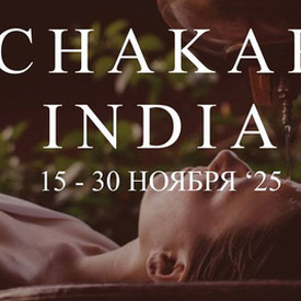 16 дней в Индии, Терапевтический и экскурсионный ПАНЧА КАРМА - ТУР (Индия)