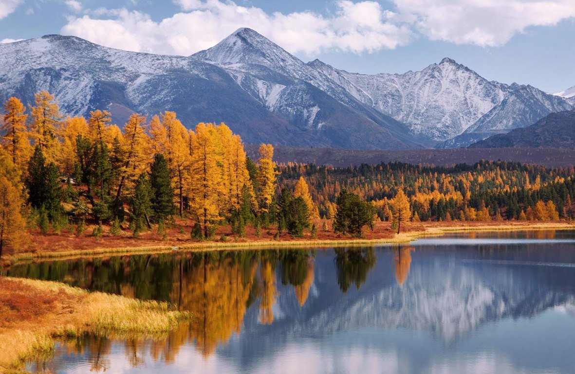 Золотые горы Алтая Алтайский заповедник